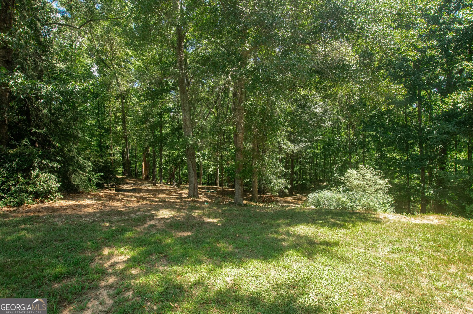 1426 Brighton Place Loganville - 45
