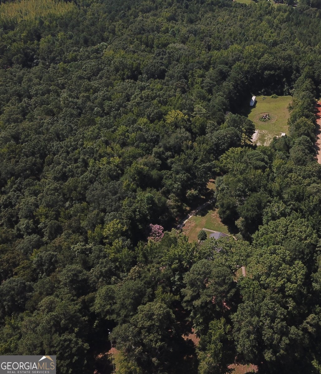 1541 Highway 81 Mcdonough - 48