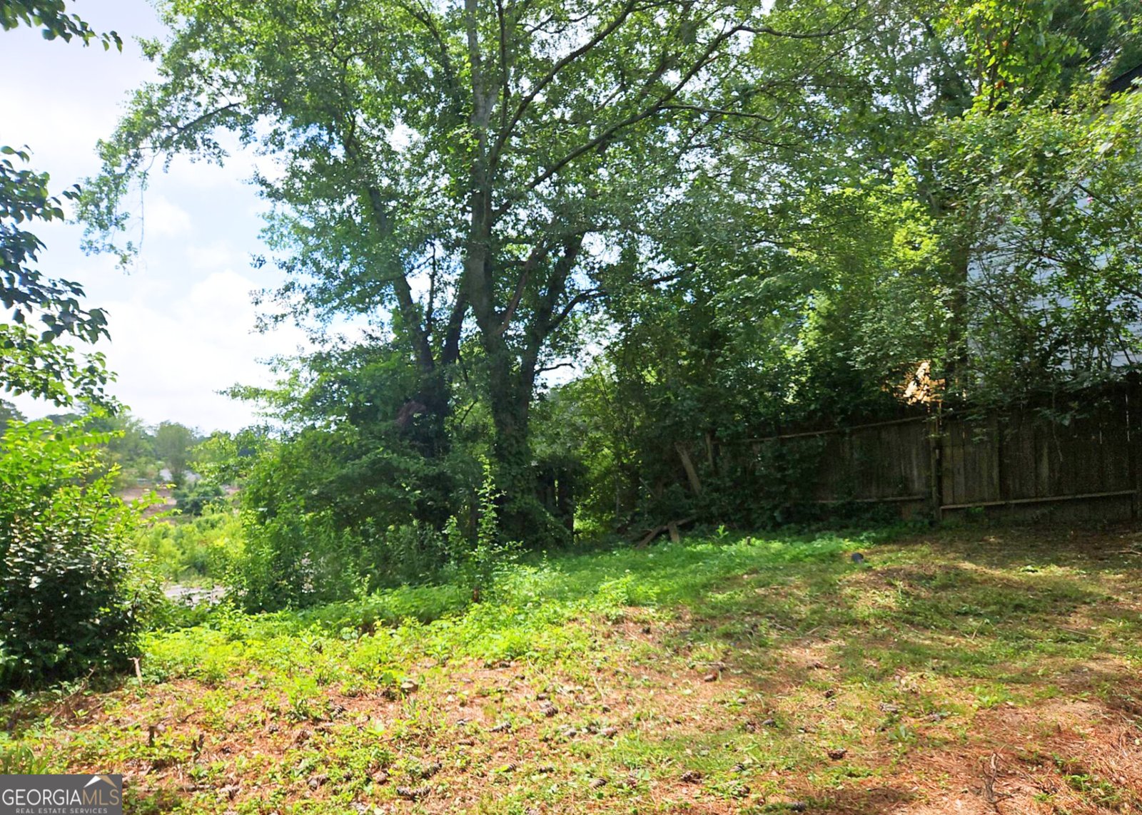 117 Dahlia Avenue Atlanta - 10