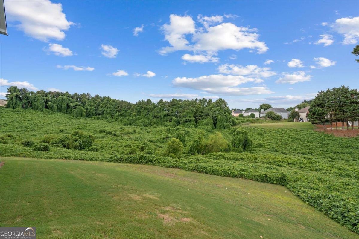 2646 Neighborhood Walk Villa Rica - 44