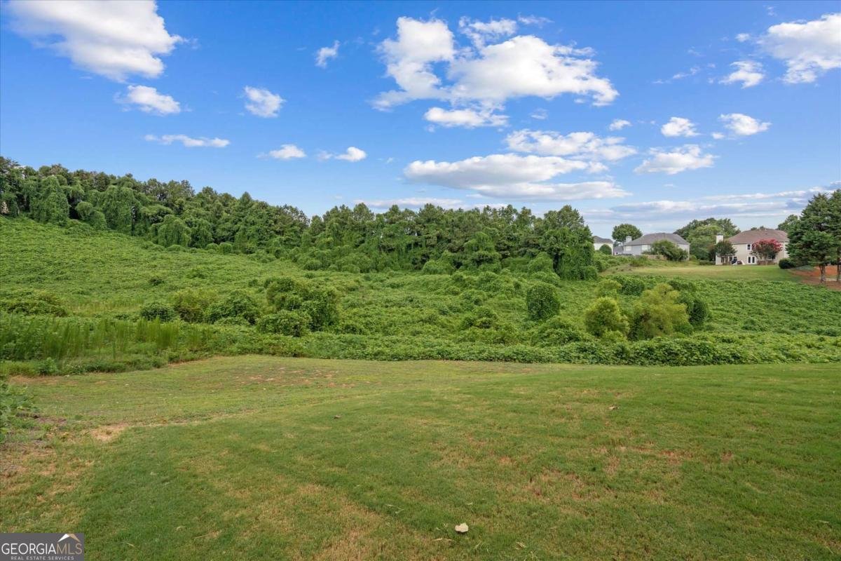 2646 Neighborhood Walk Villa Rica - 45