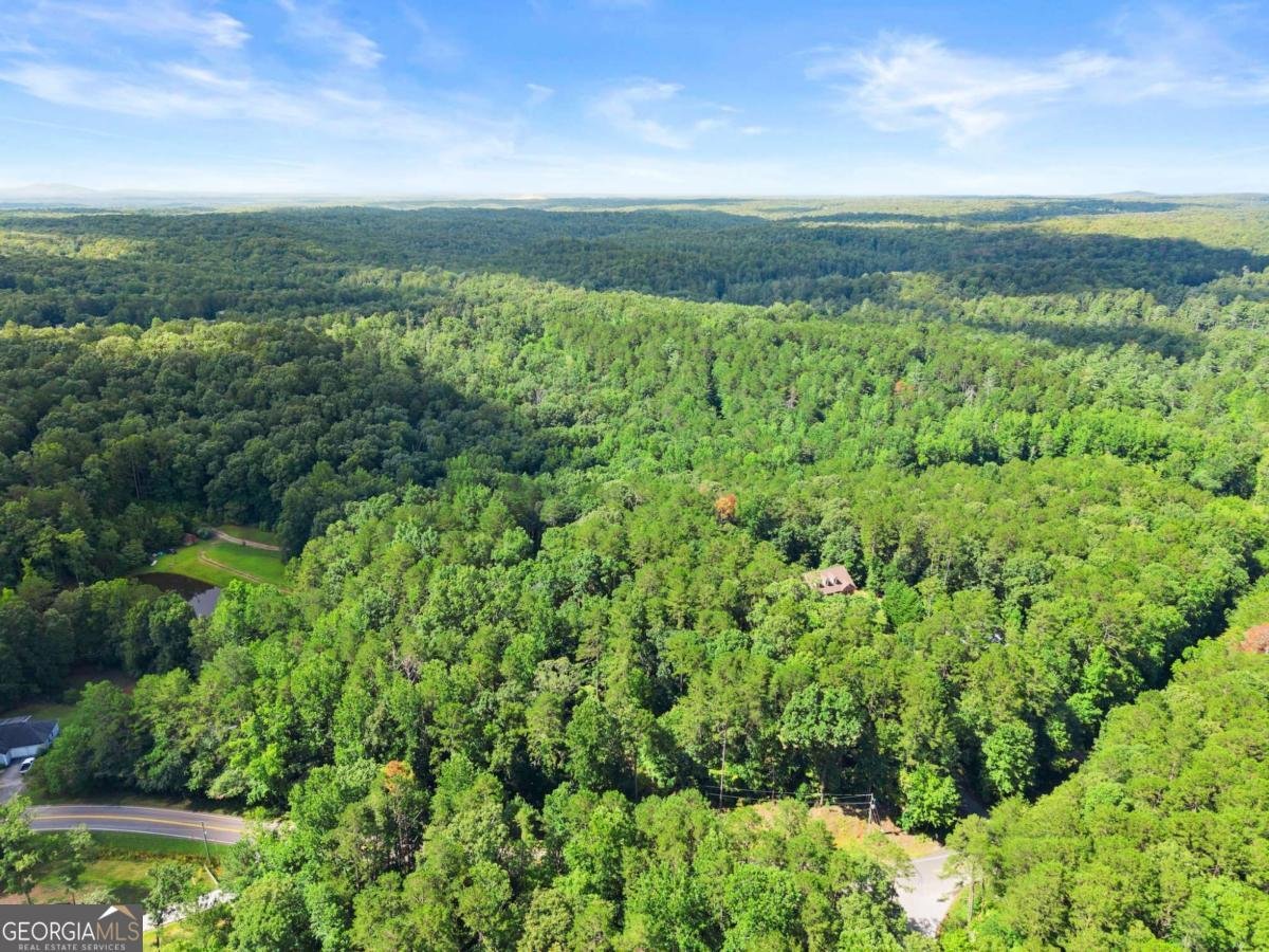 1709 Sweetwater Juno Road Dawsonville - 1