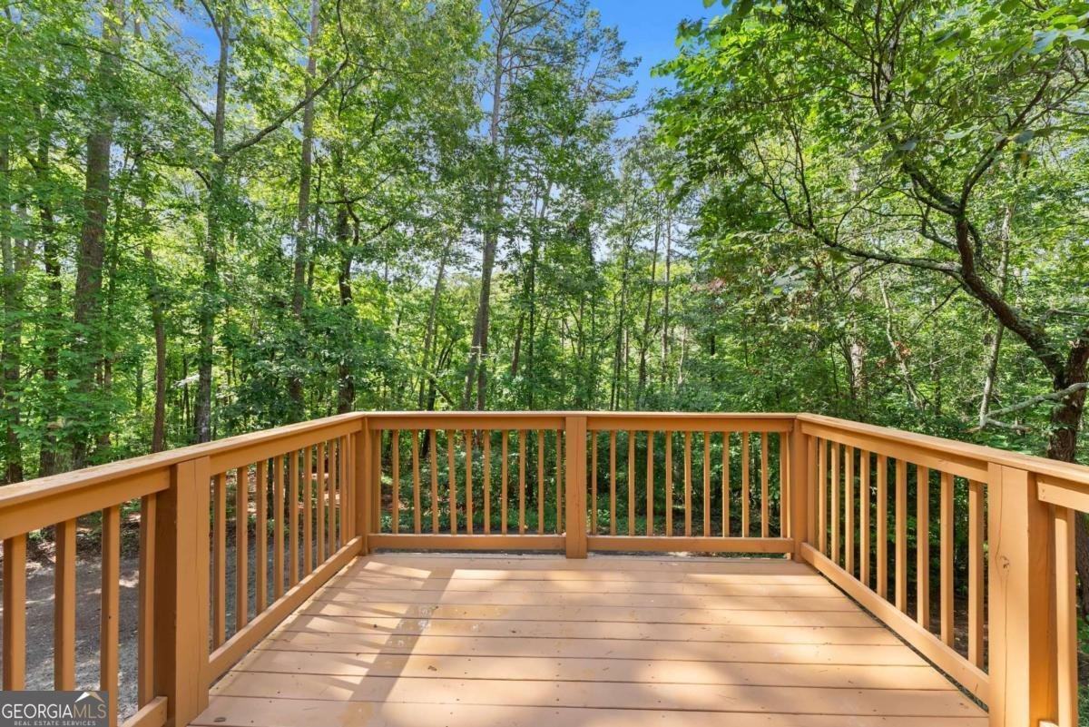 1709 Sweetwater Juno Road Dawsonville - 21