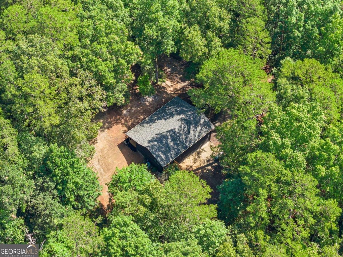 1709 Sweetwater Juno Road Dawsonville - 3