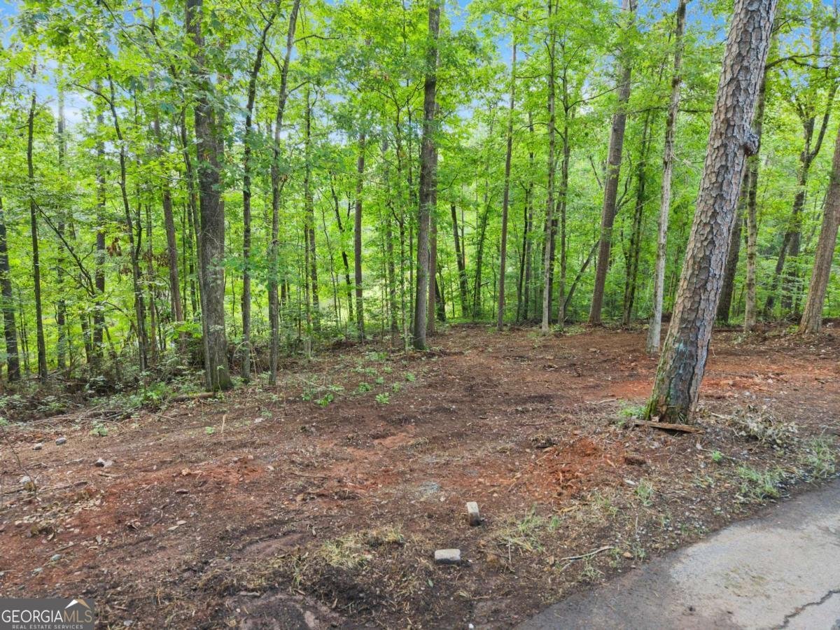 1709 Sweetwater Juno Road Dawsonville - 37