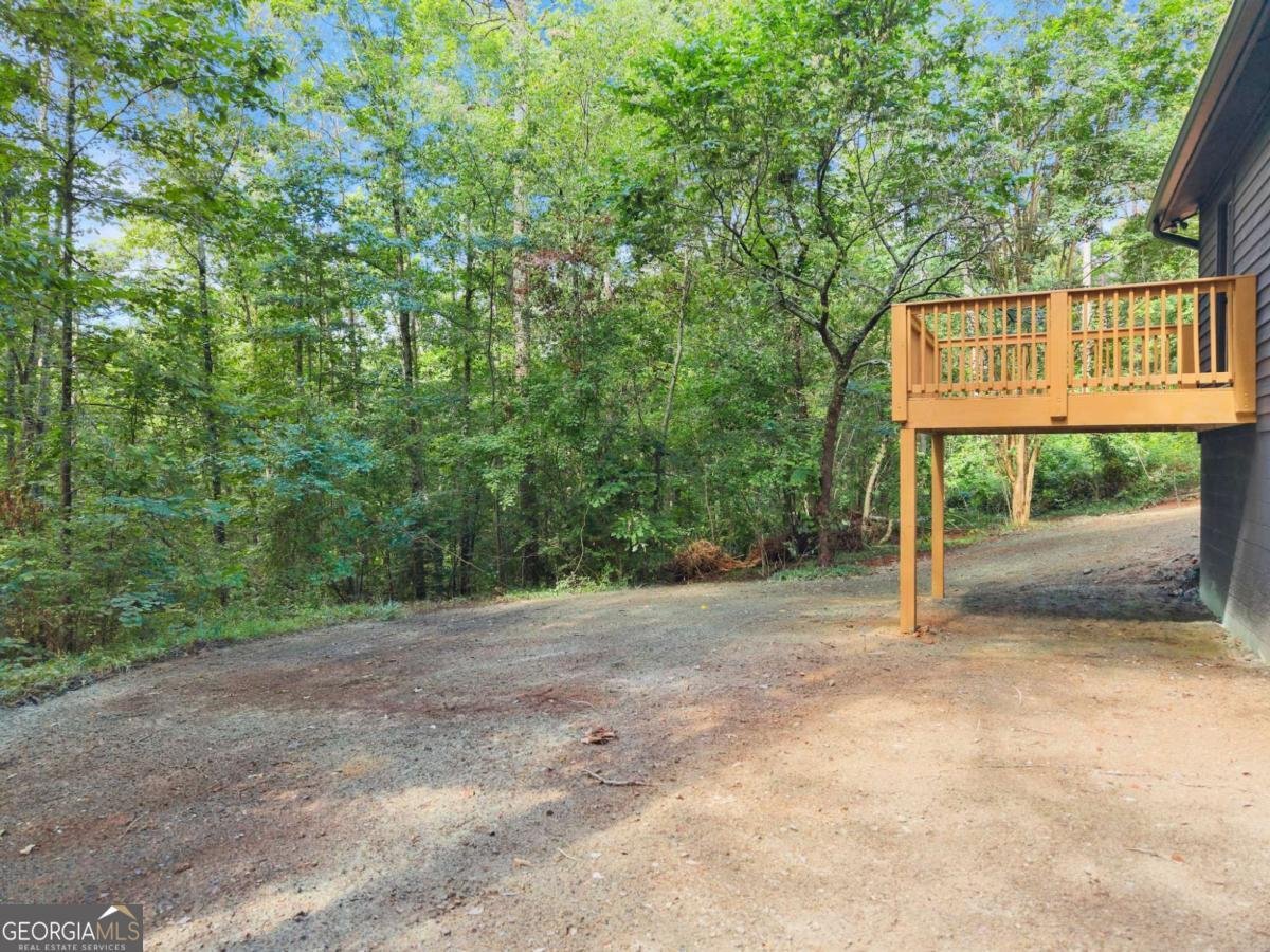 1709 Sweetwater Juno Road Dawsonville - 38