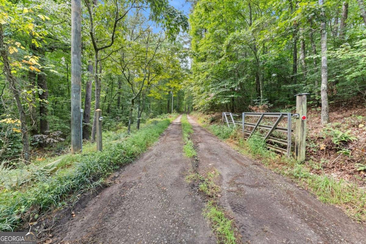 1709 Sweetwater Juno Road Dawsonville - 41