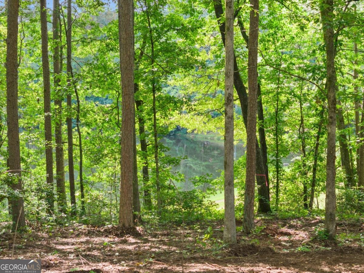 1709 Sweetwater Juno Road Dawsonville - 42