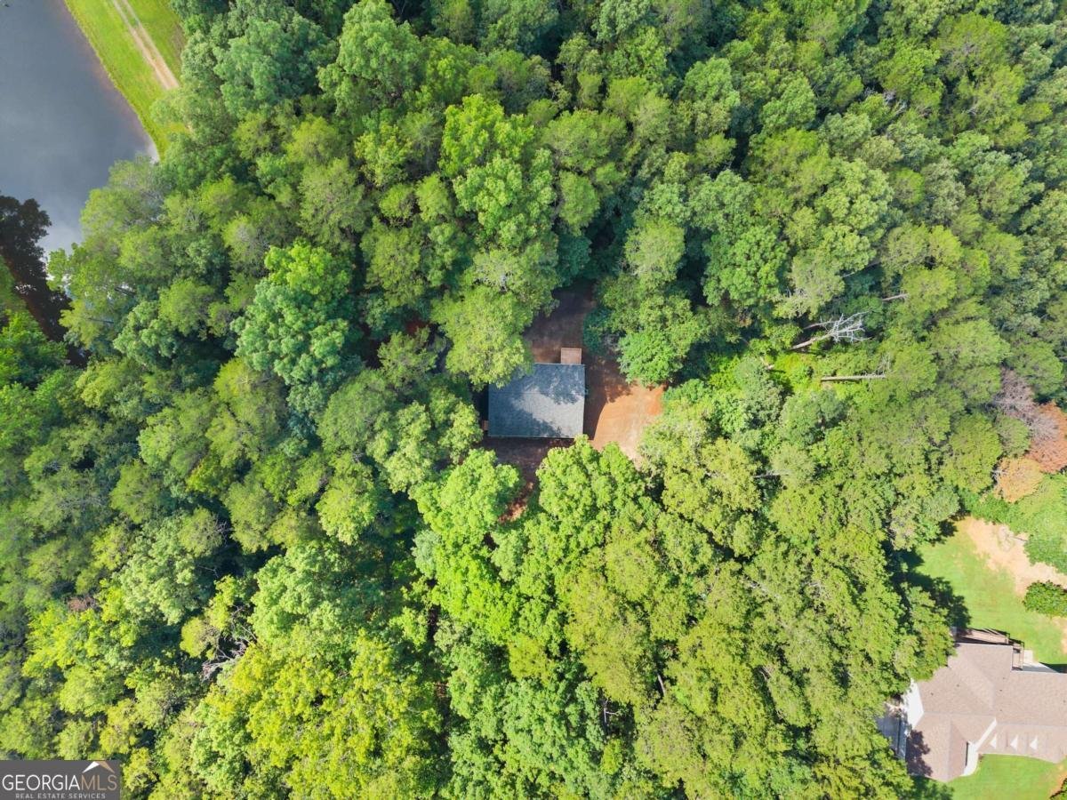 1709 Sweetwater Juno Road Dawsonville - 43