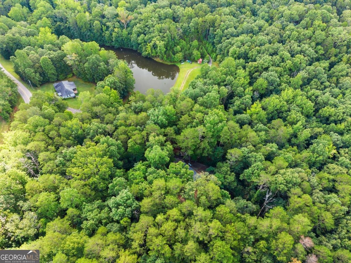 1709 Sweetwater Juno Road Dawsonville - 44