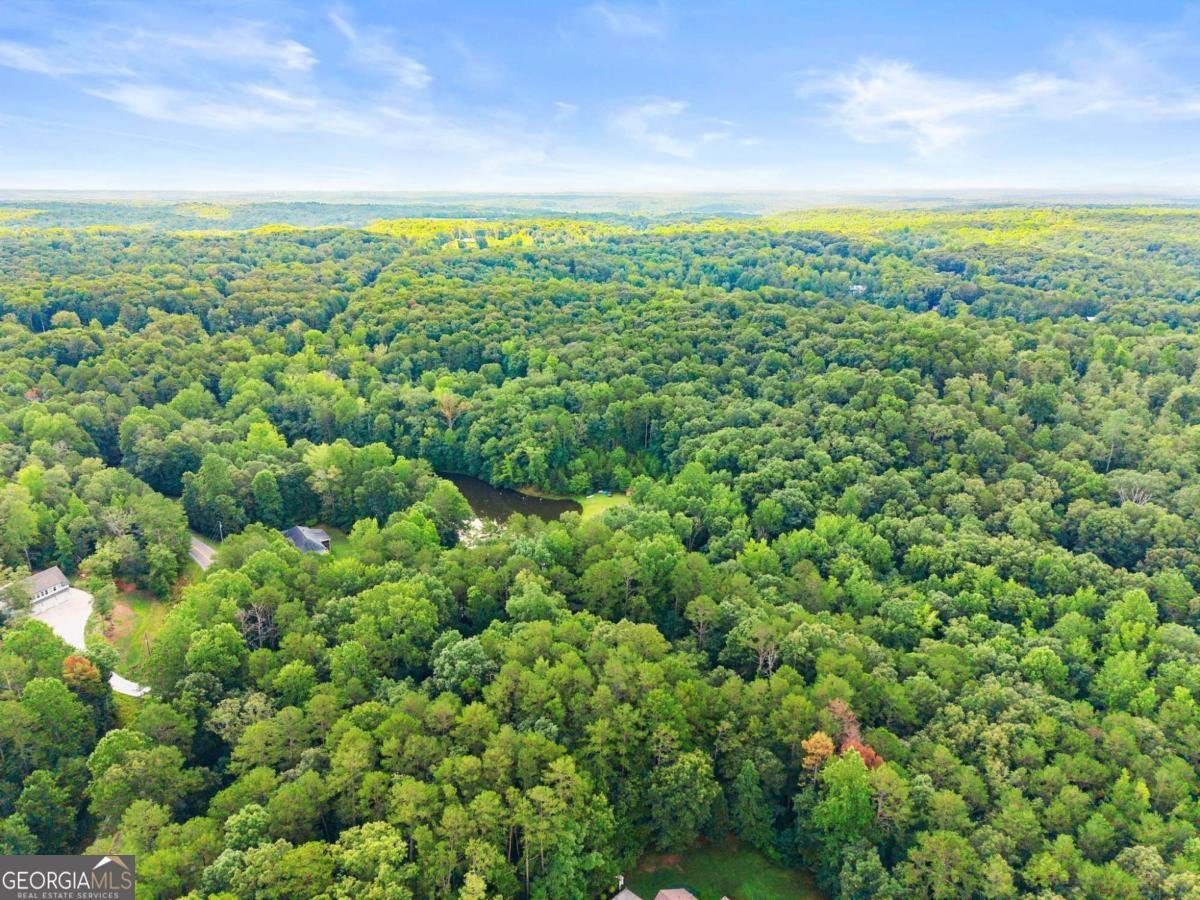 1709 Sweetwater Juno Road Dawsonville - 45