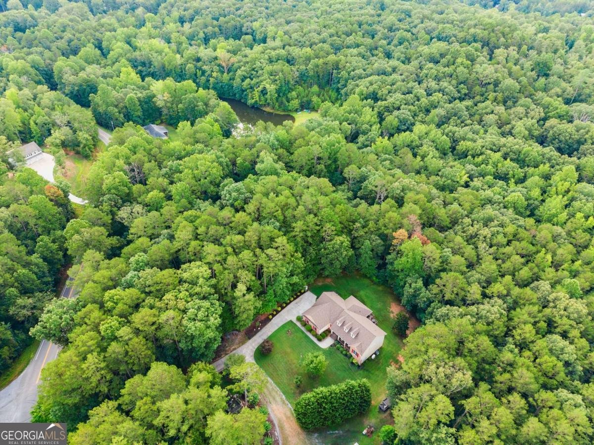 1709 Sweetwater Juno Road Dawsonville - 46