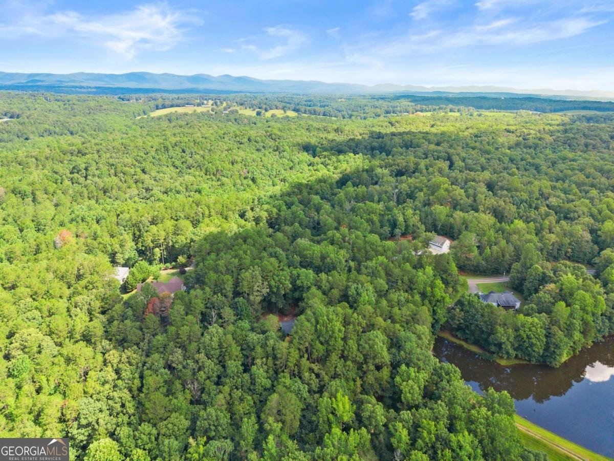 1709 Sweetwater Juno Road Dawsonville - 47