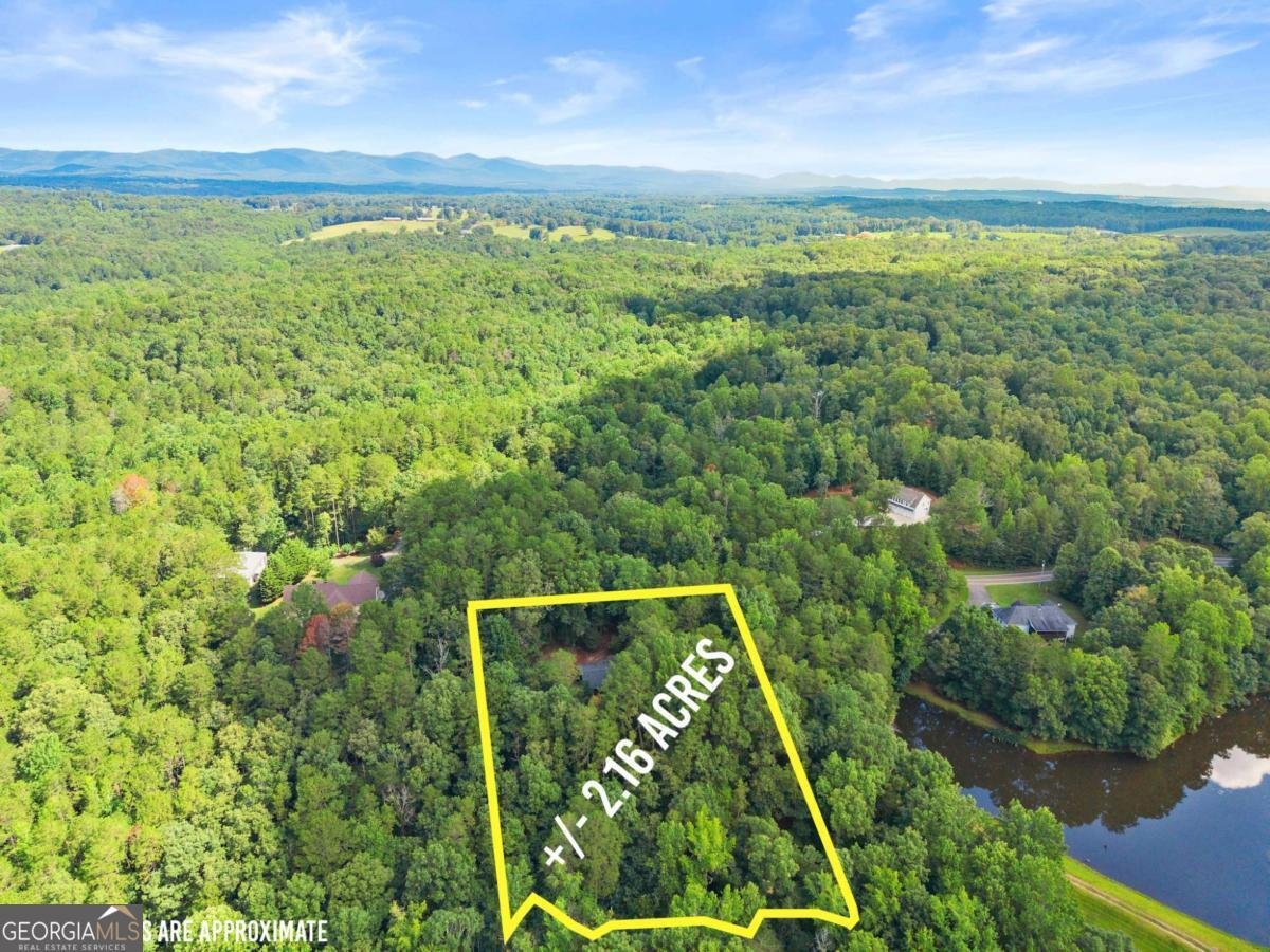 1709 Sweetwater Juno Road Dawsonville - 48