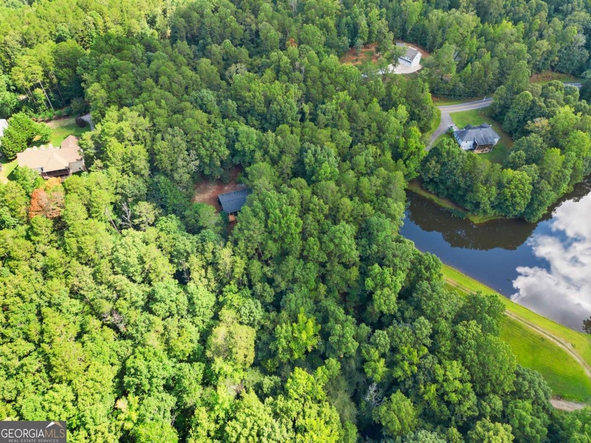 1709 Sweetwater Juno Road Dawsonville - 49