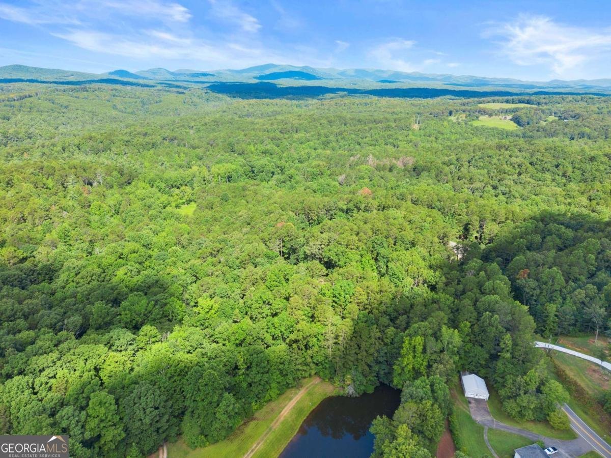 1709 Sweetwater Juno Road Dawsonville - 50