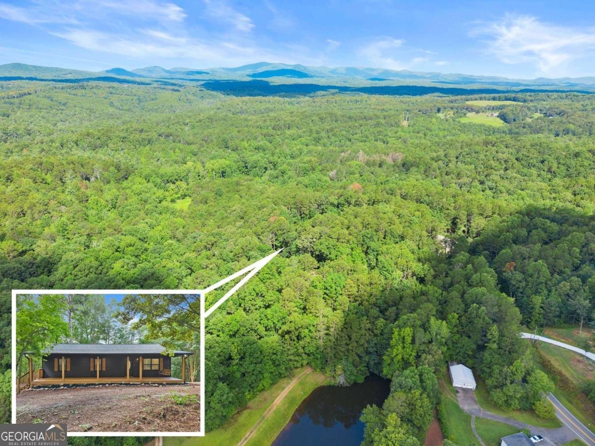 1709 Sweetwater Juno Road Dawsonville - 51