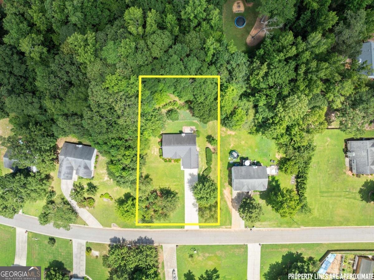 1031 Rolling Ridge Lane Auburn - 6