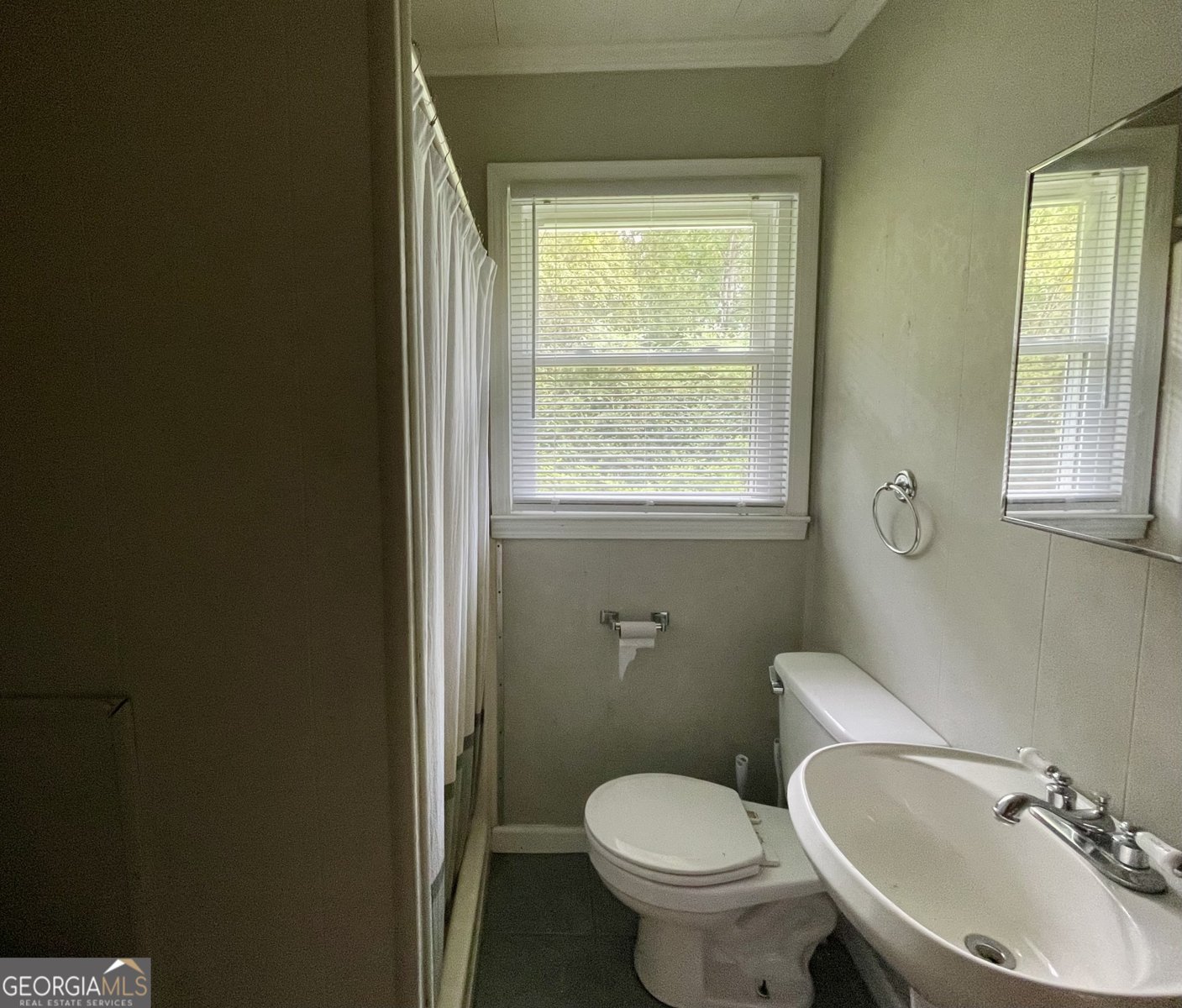 1875 Dowdy Road Roopville - 46
