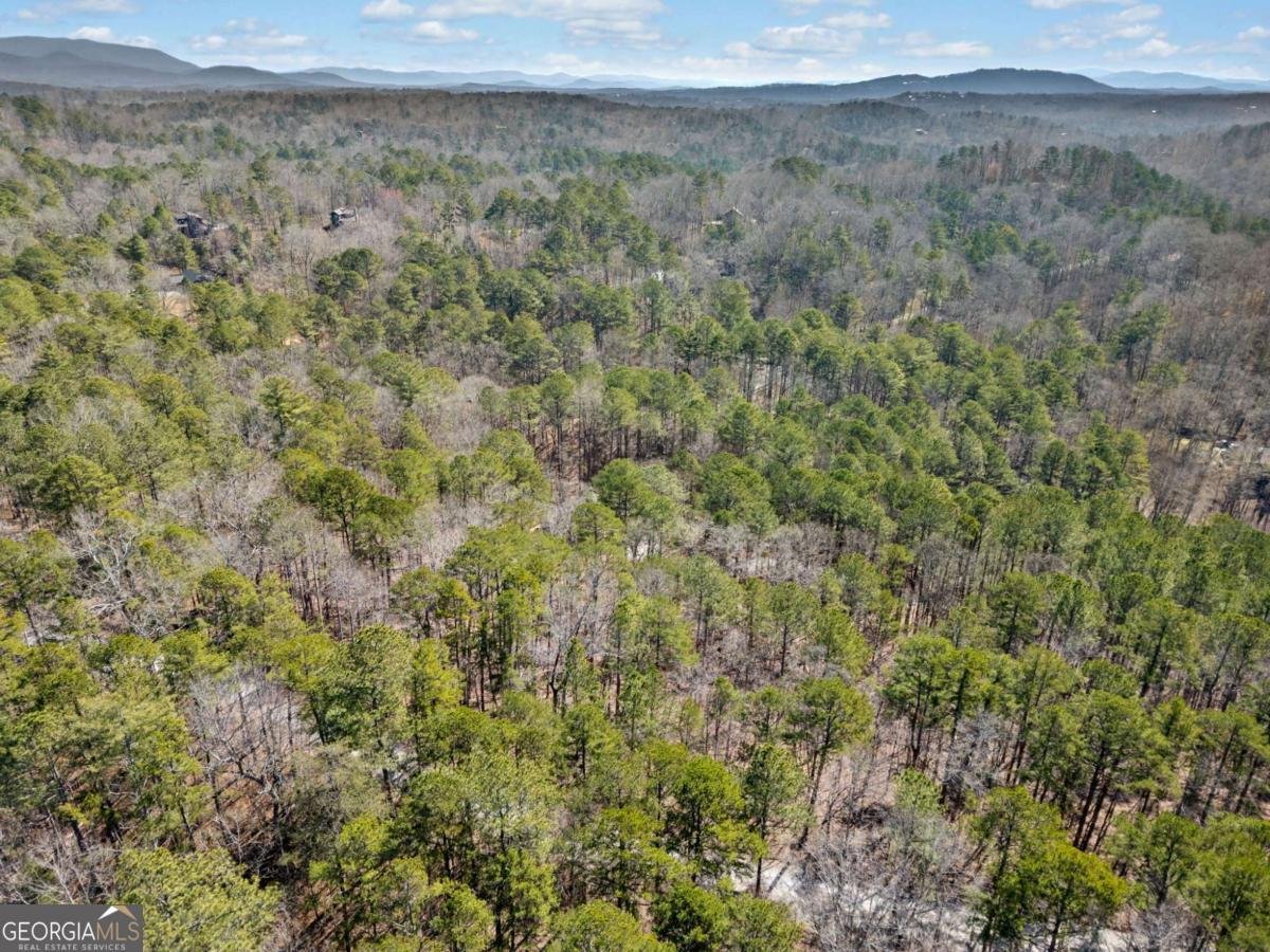 32 Holly Way Ellijay - 14