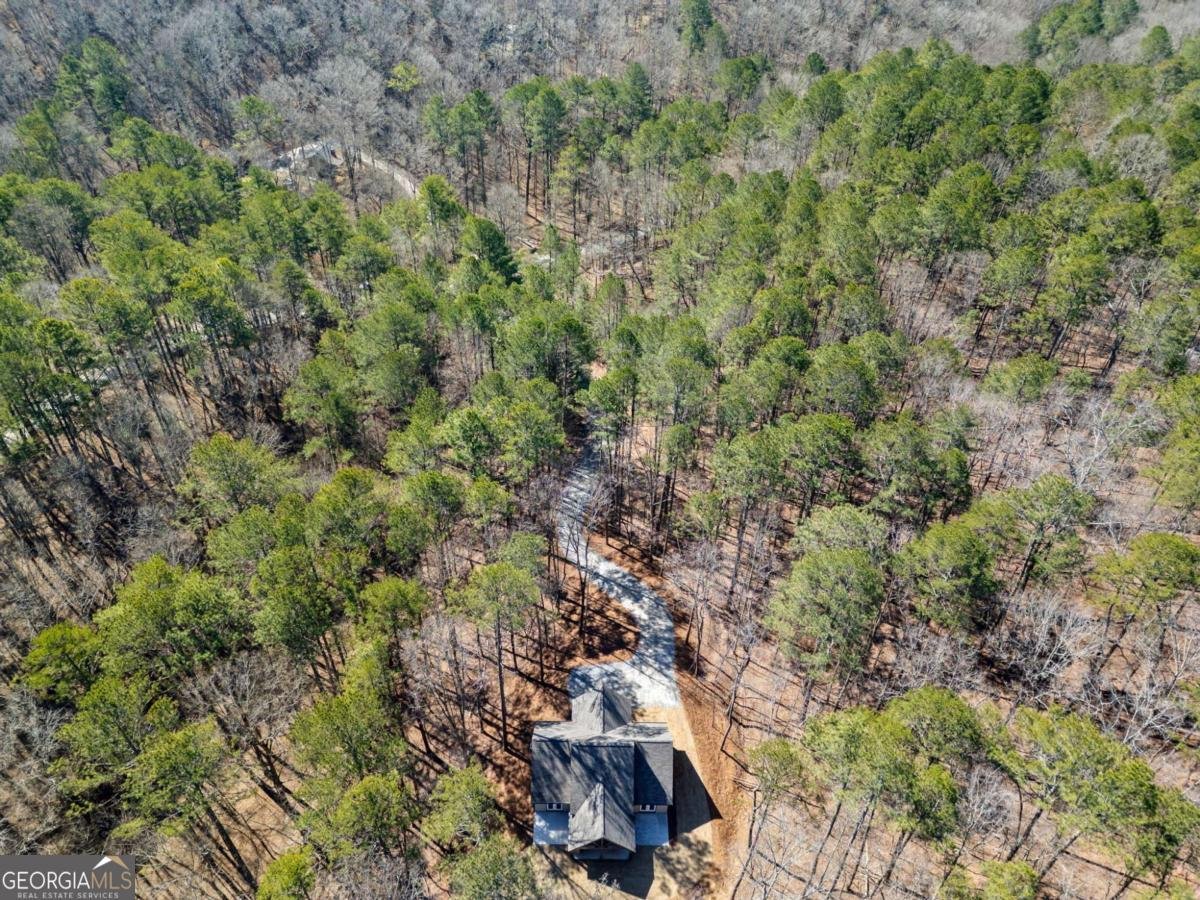 32 Holly Way Ellijay - 15