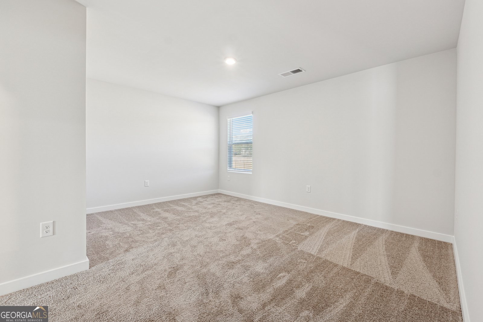 1672 Fuma Leaf Way Road McDonough - 22