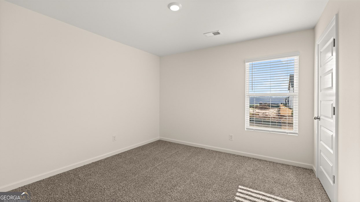 485 GREAT SALT Lane Hoschton - 2