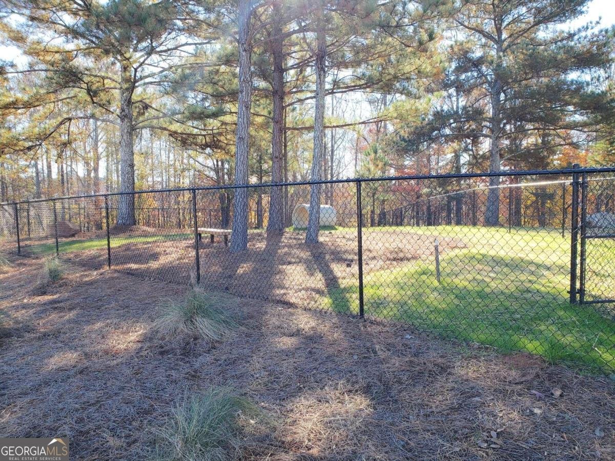 166 Storm Lane Hoschton - 57