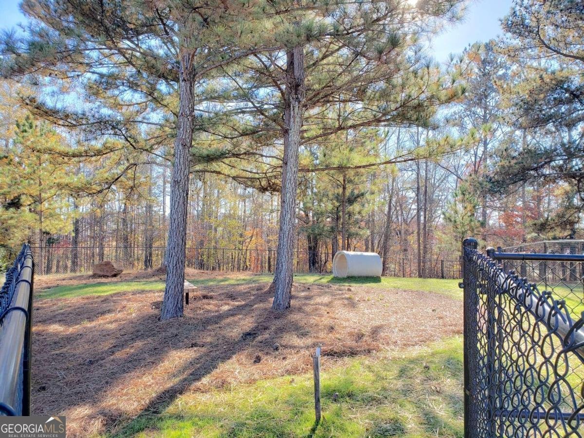 166 Storm Lane Hoschton - 58