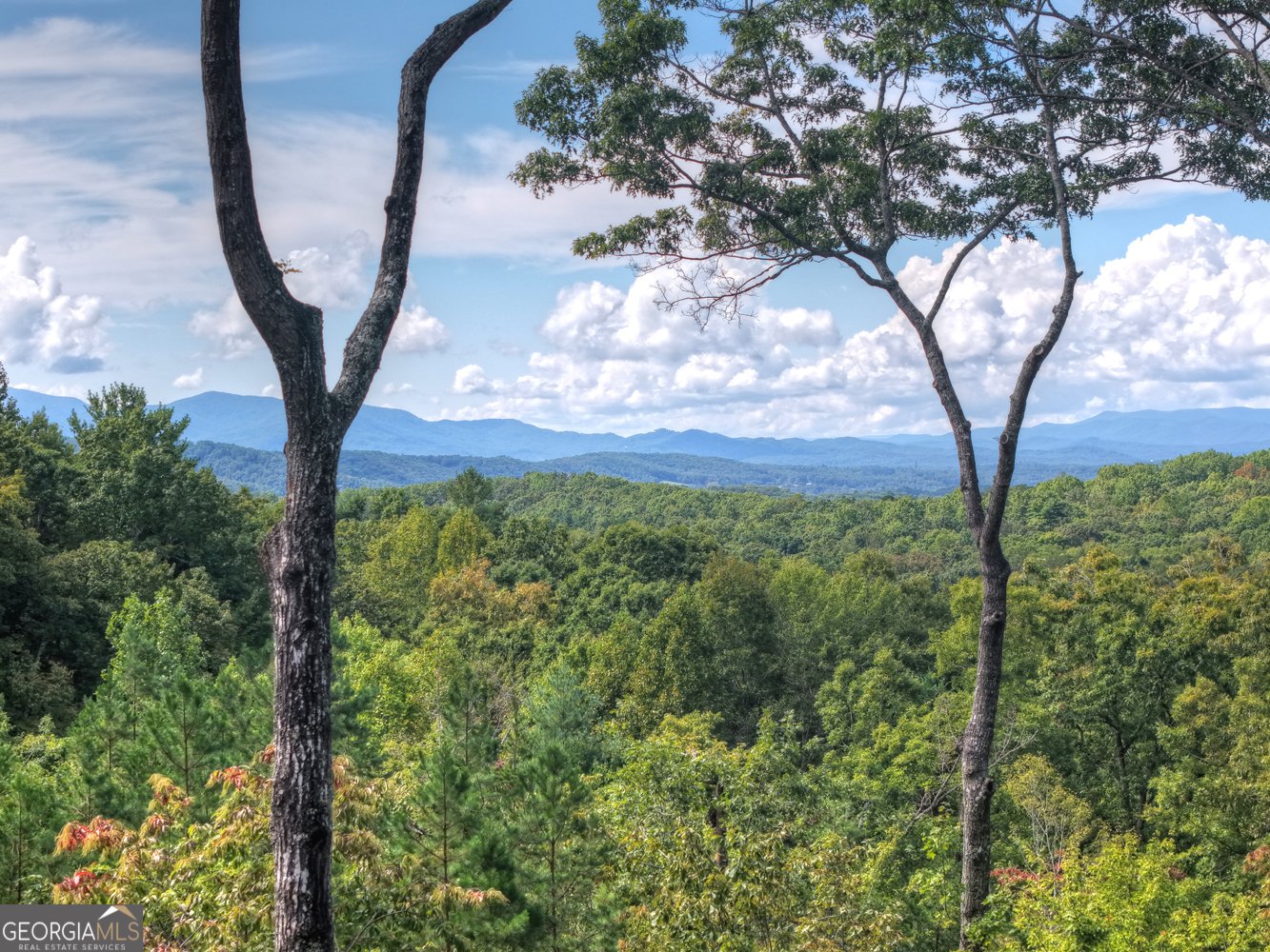 67 Antler Way Morganton - Photo 47