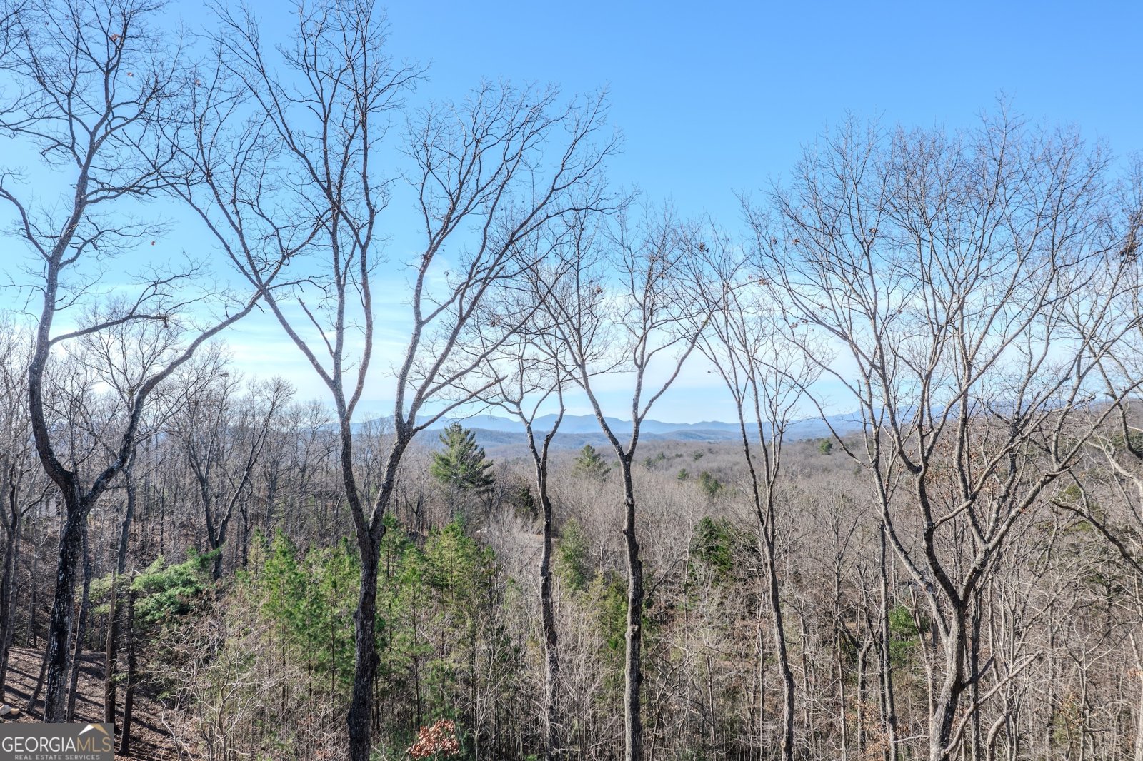 67 Antler Way Morganton - Photo 54