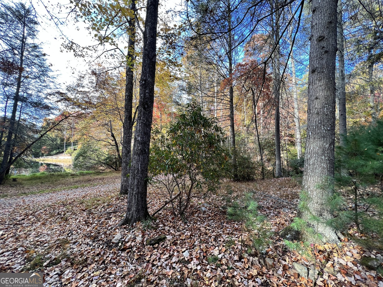 23 Briar Cove Lane Morganton - 22