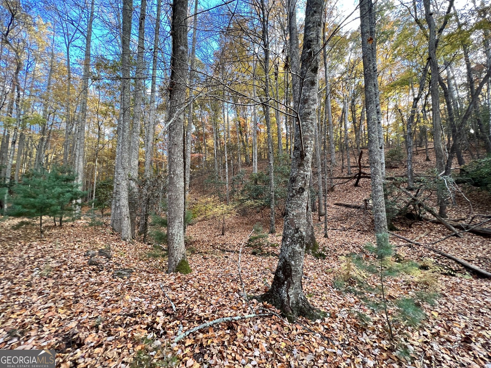 23 Briar Cove Lane Morganton - 23