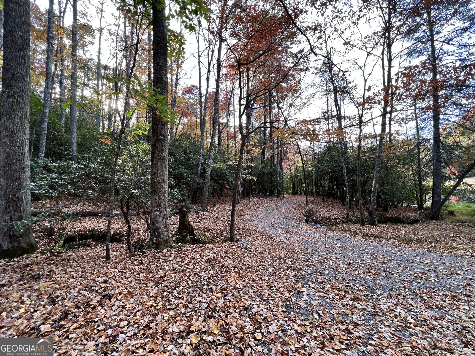 23 Briar Cove Lane Morganton - 24