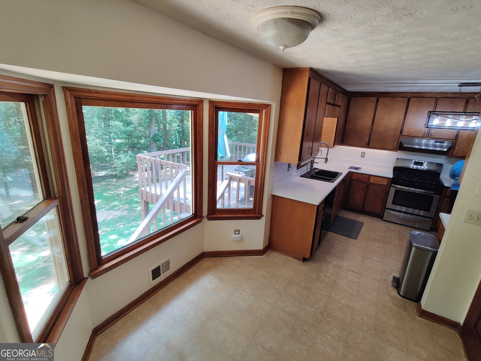 115 Ivy Court Tyrone - 13
