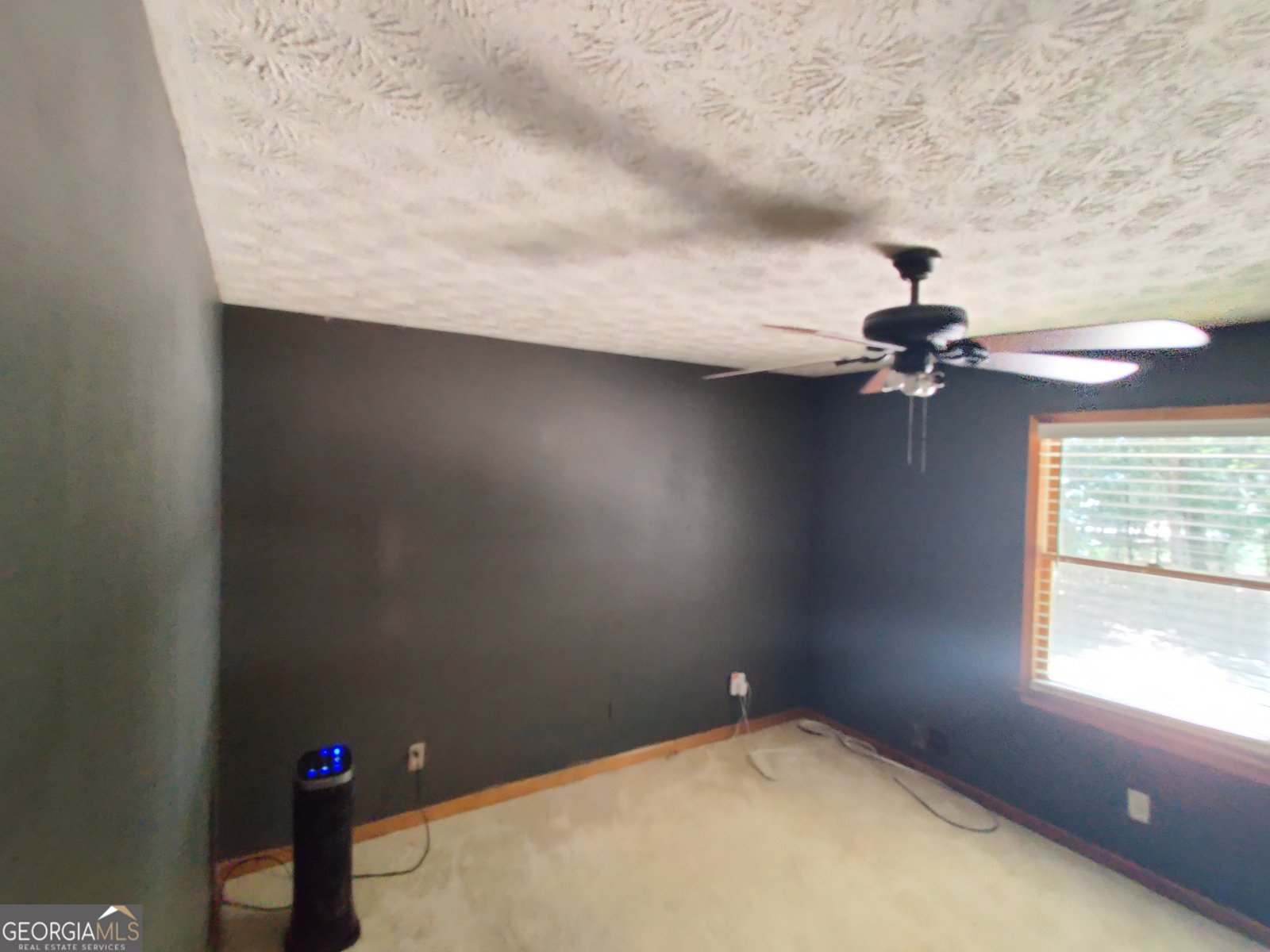 115 Ivy Court Tyrone - 20