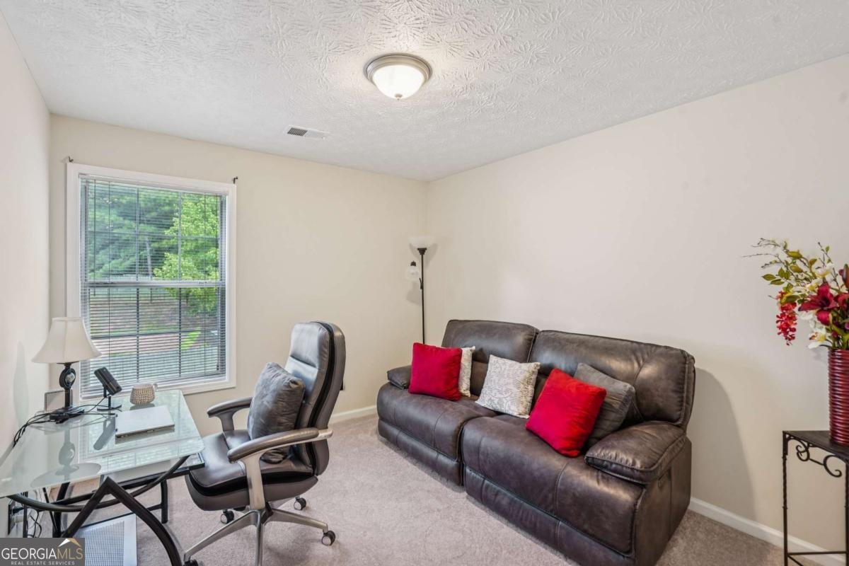 425 Shadetree Lane Lawrenceville - 19
