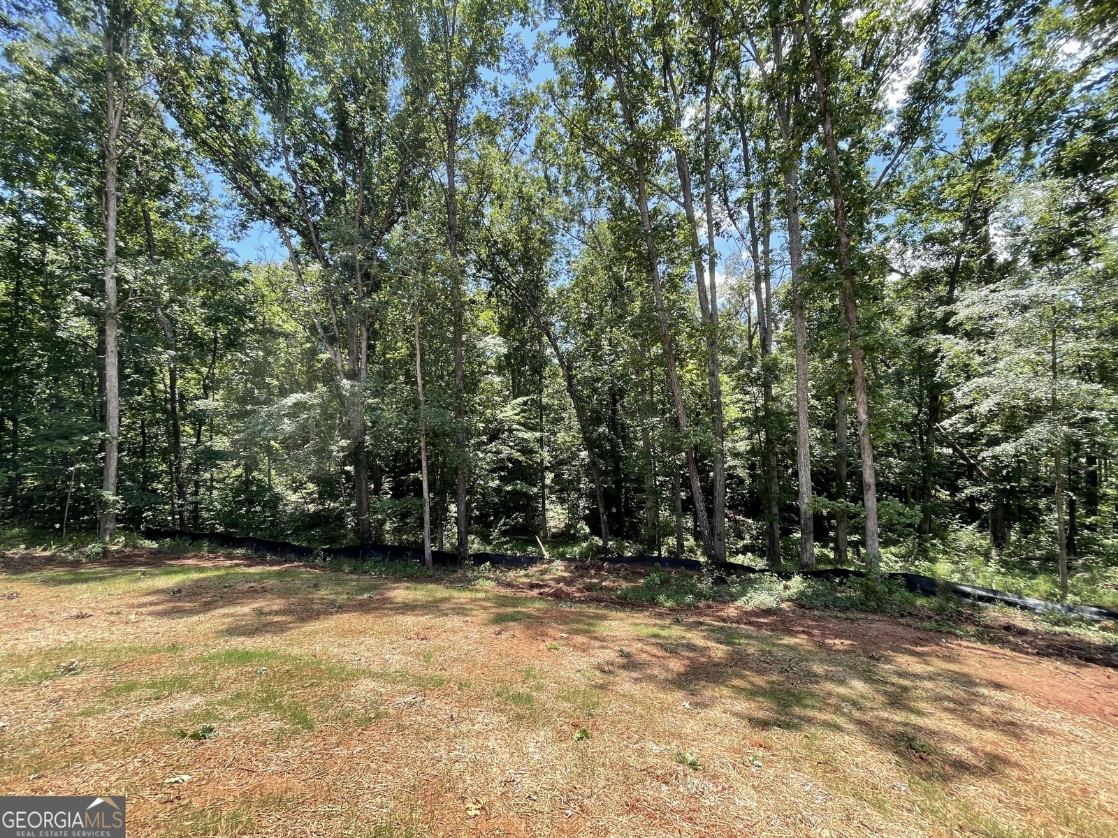 1290 Caboose Court Greensboro - 23