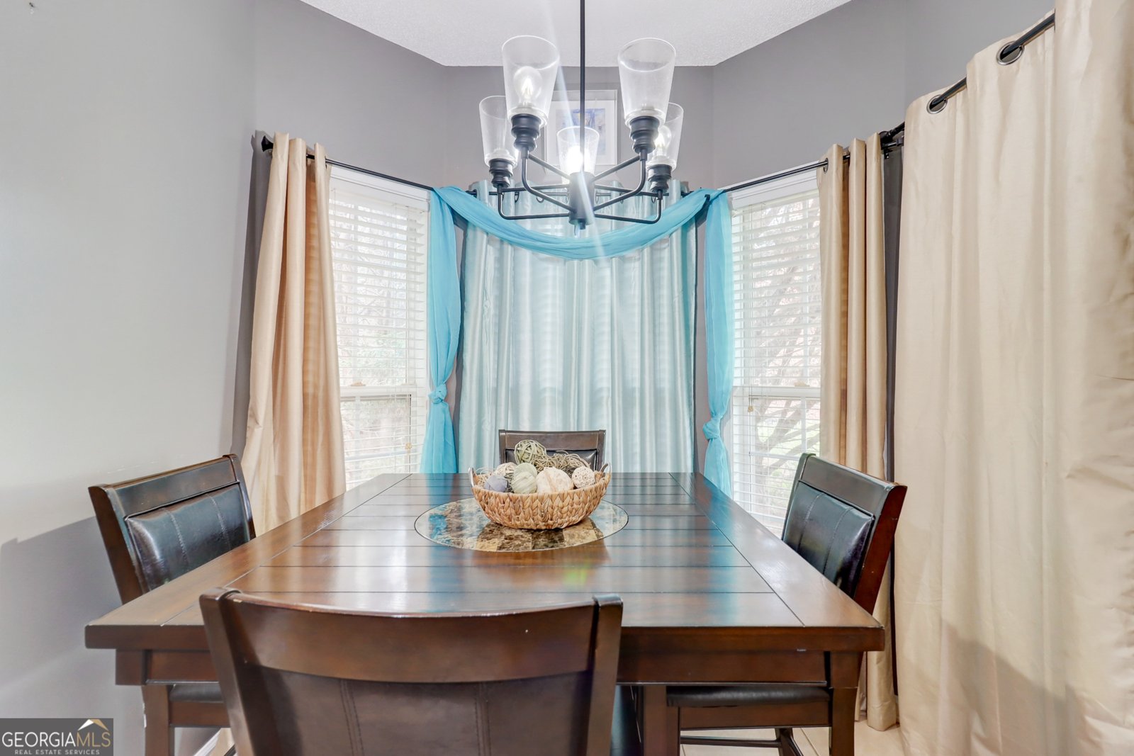 306 Trail Spring Court McDonough - 21