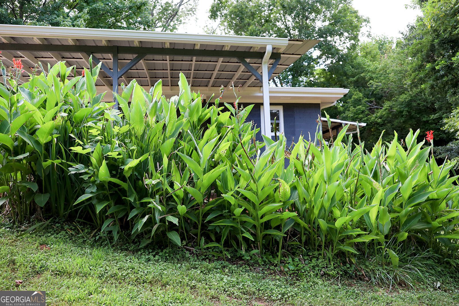 4103 Old Cornelia Highway Gainesville - 35