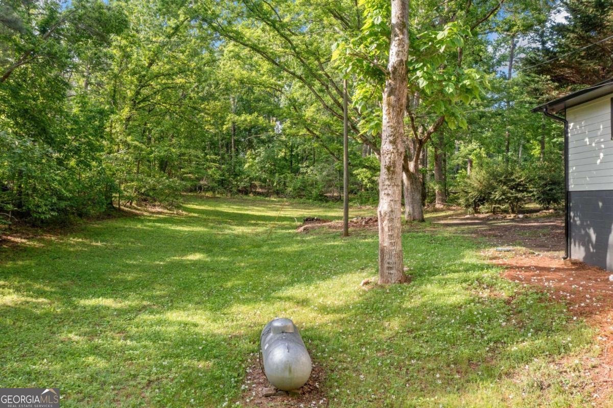 474 Upper Burris Road Canton - 7