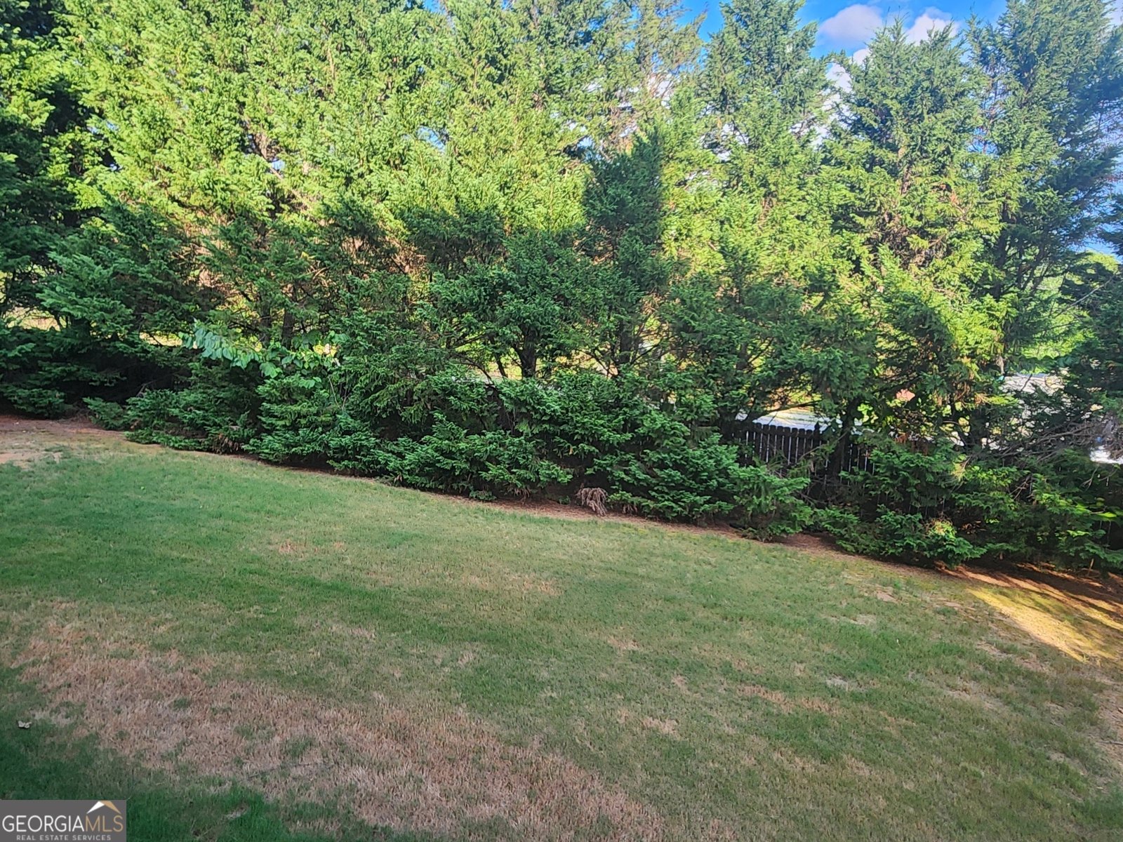 749 Verbena Way Auburn - 34