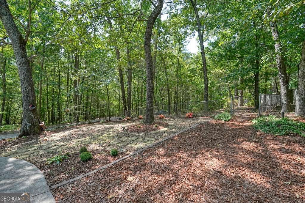 1260 Fields Chapel Road Canton - 1
