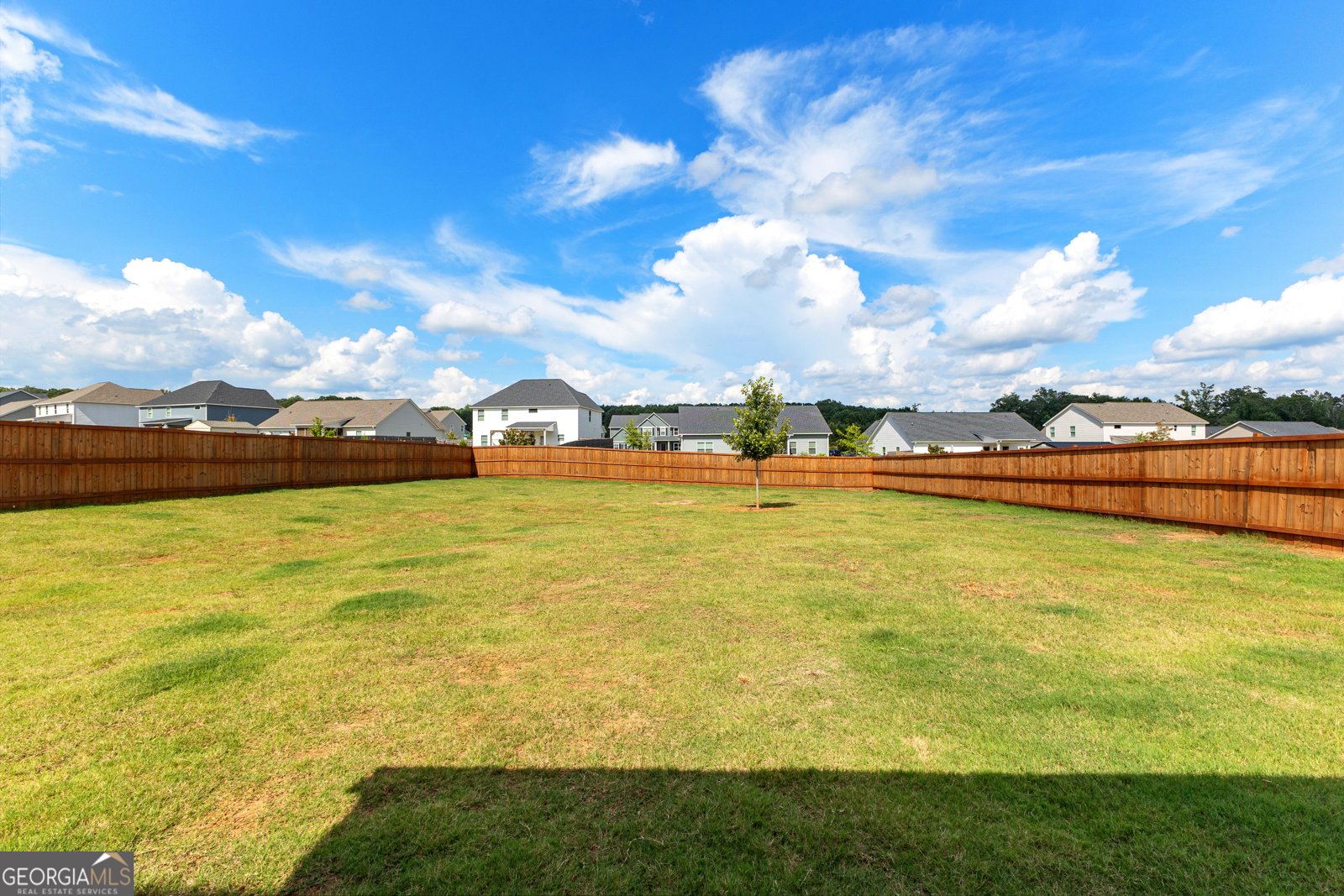 118 Springwood Drive Carrollton - 16