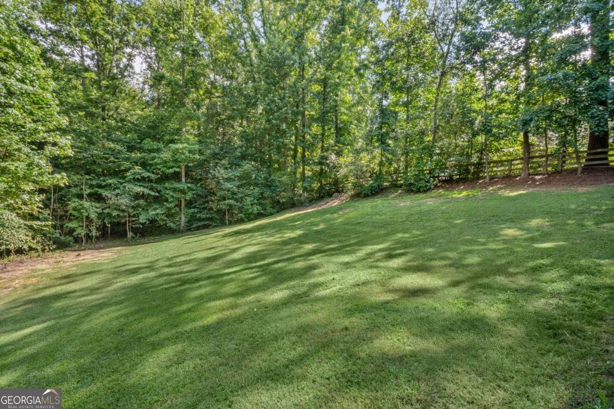 262 Spring Drive Canton - 9