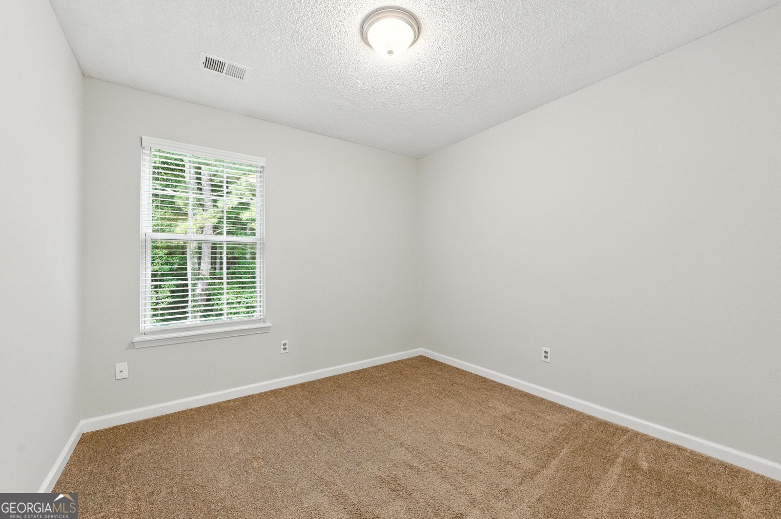 2815 Vintage Wood Way Kennesaw - 13