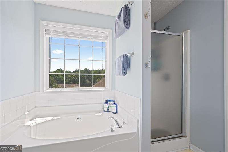 3180 Victoria Ridge Court Loganville - 24