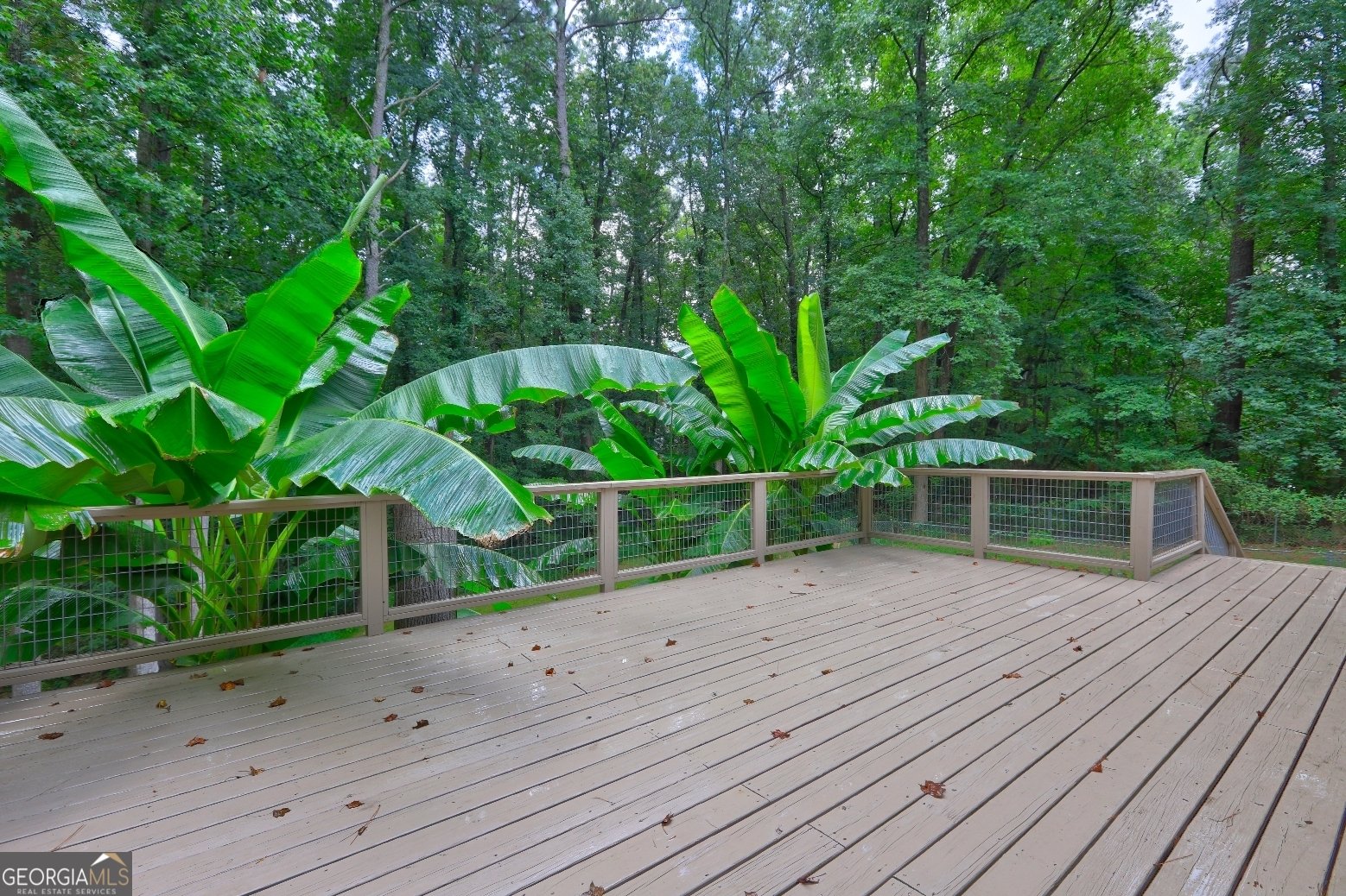 163 Senoia Road Peachtree City - 10