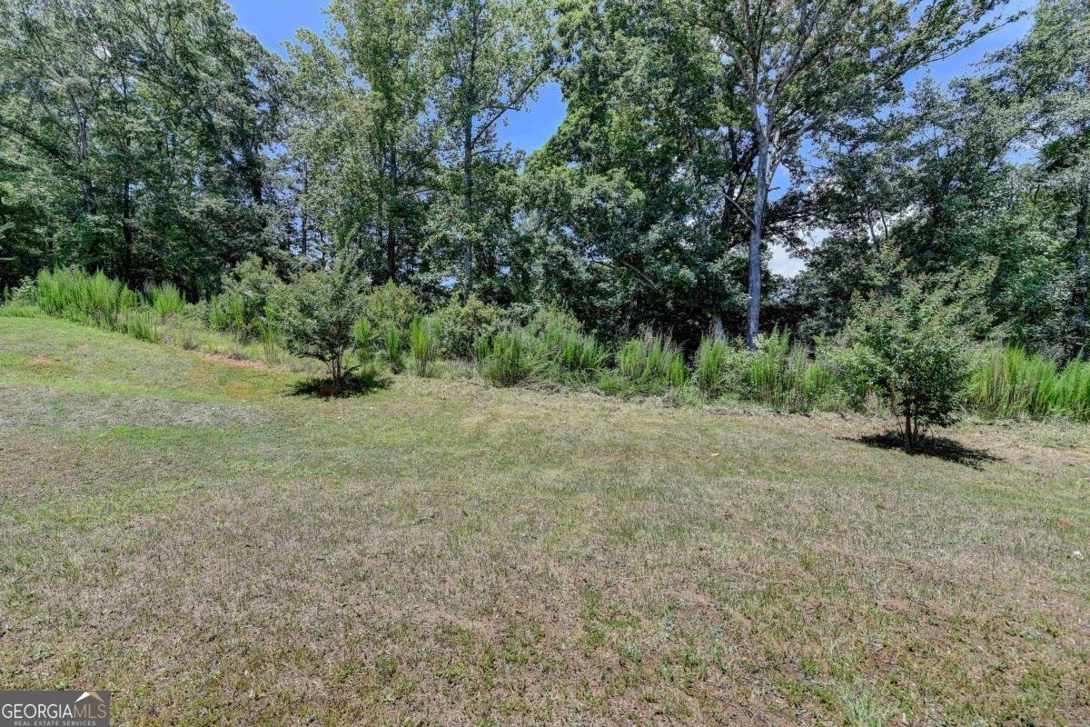 125 Osprey Overlook Drive Braselton - 20