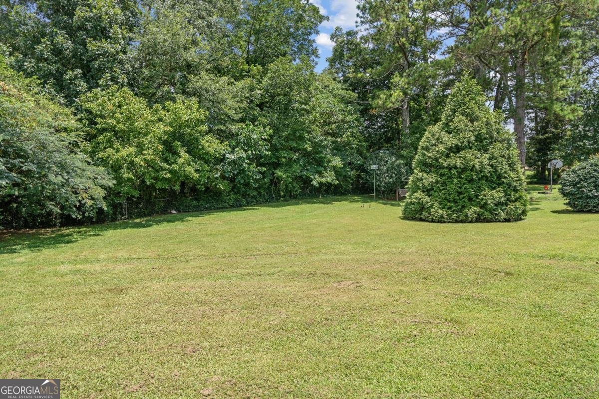 310 College Street Bowdon - 24